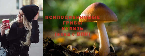 винт Куйбышев