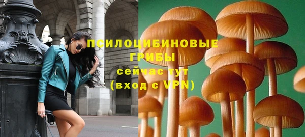 винт Куйбышев