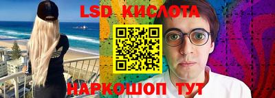 гидра Будённовск