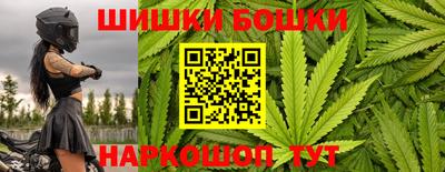 гидра Будённовск