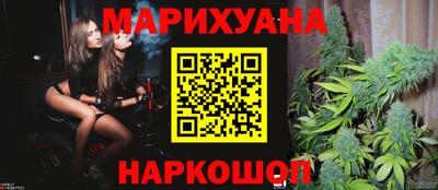 гидра Будённовск