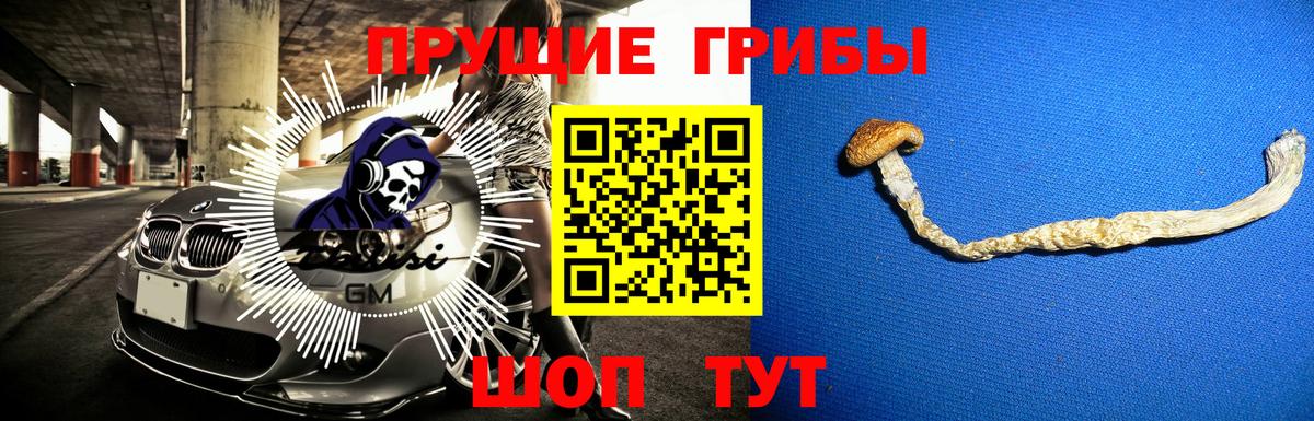 Рыбинск  Псилоцибиновые грибы Psilocybe  Вход с VPN 